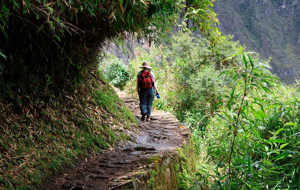 Route to the Inca Bridge of Machu Picchu